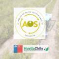 Webinar de Huella de Carbono