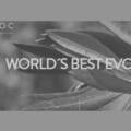Aceites chilenos premiados en el concurso Brazil IOOC